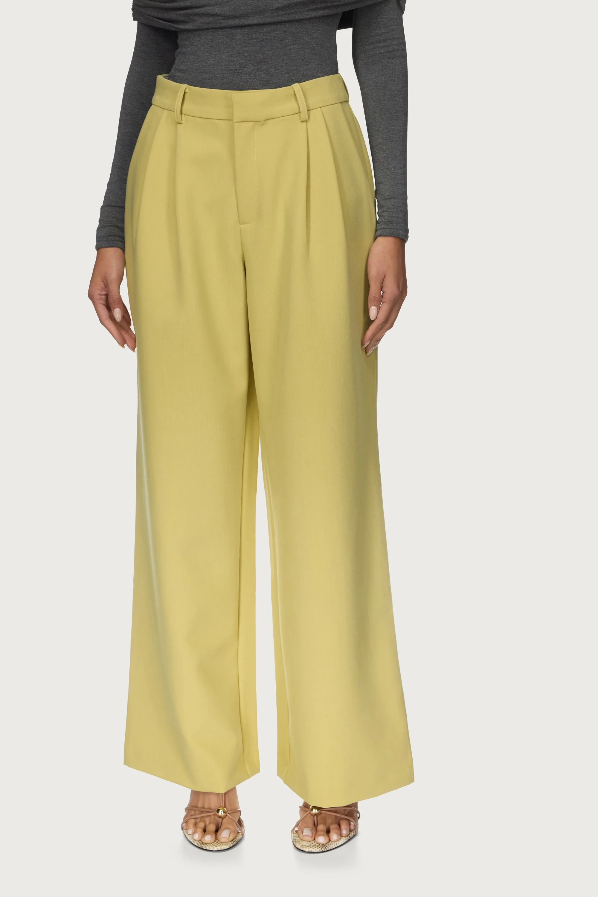 Pleated Pants - Dried Pear - Image 5